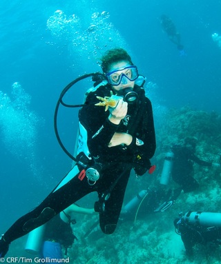 Volunteering with the Coral Restoration Foundation: Interns are encouraged to spend time each week volunteering with non-proft, government, education, or environmental organizations. These volunteer projects are a great opportunity for inters to expand their skill sets and network with other professionals in the field.